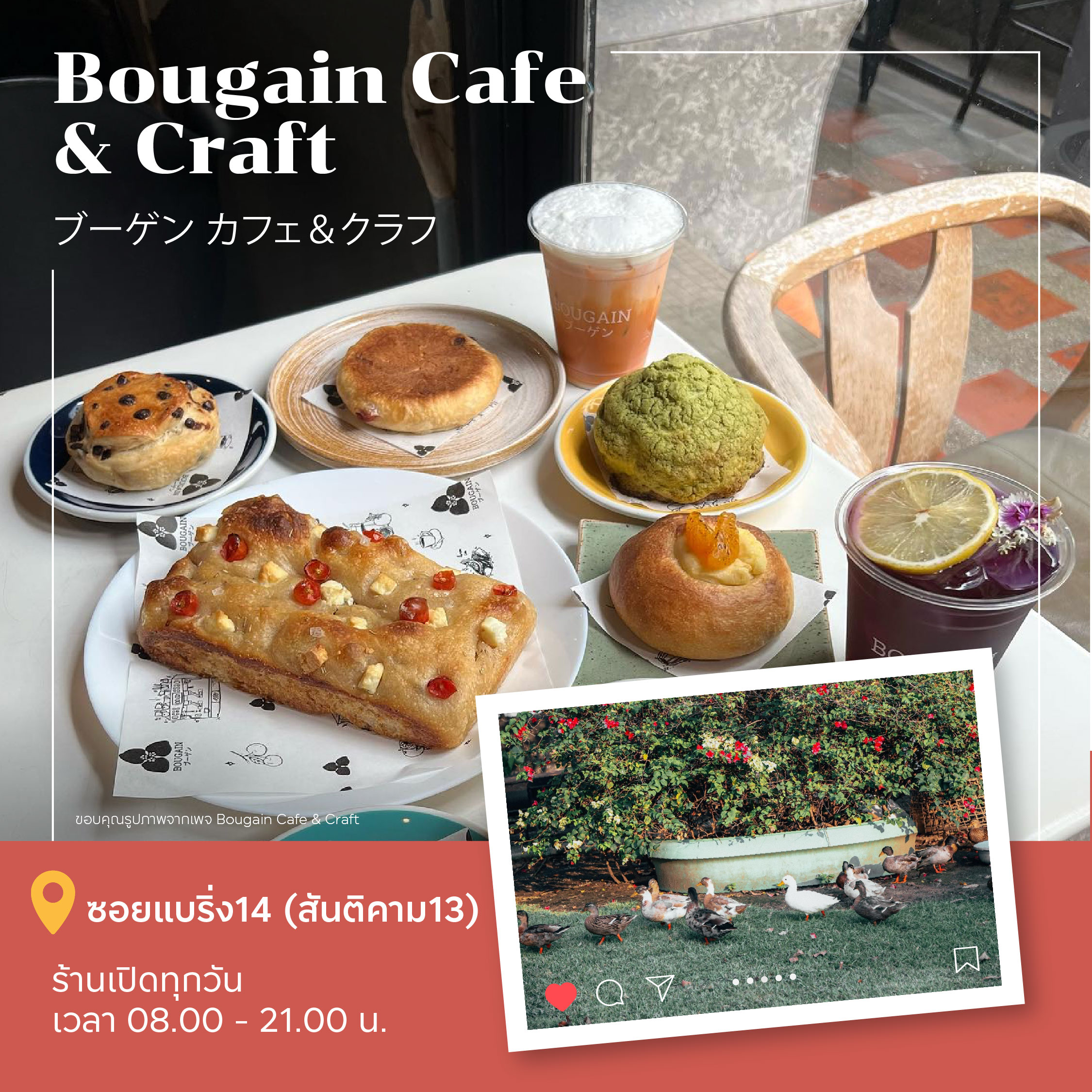 คาเฟ่ PET FRIENDLY