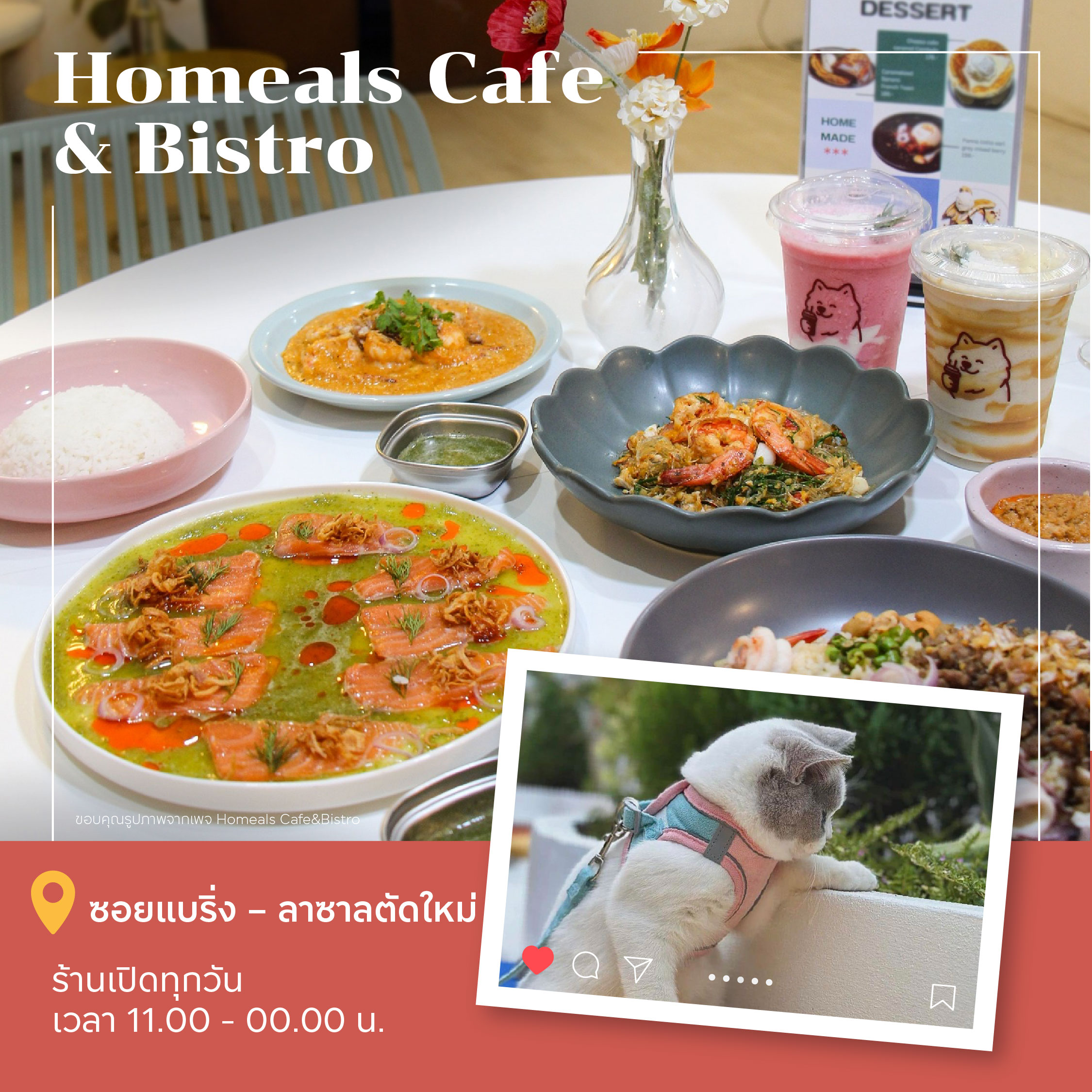 คาเฟ่ PET FRIENDLY