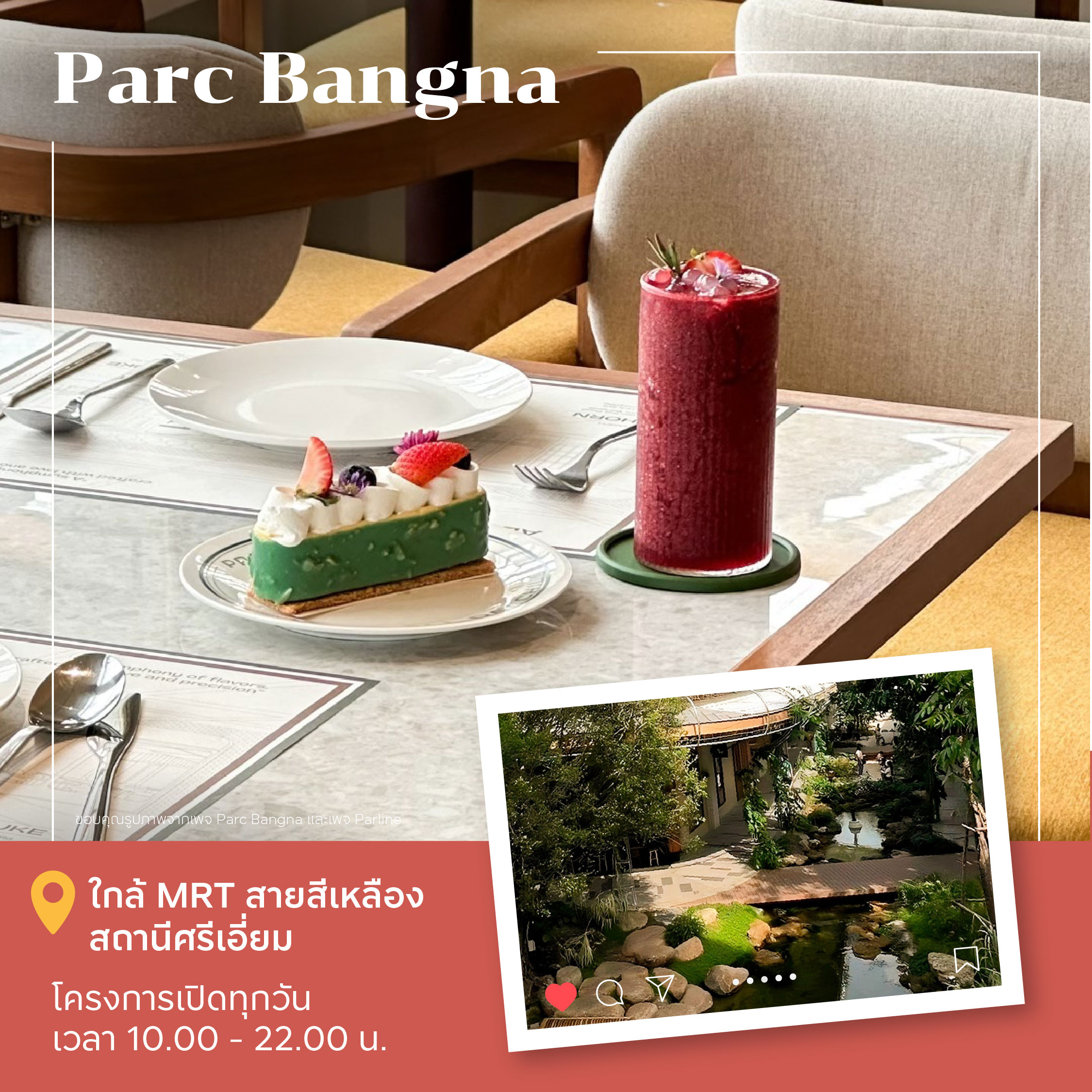 คาเฟ่ PET FRIENDLY