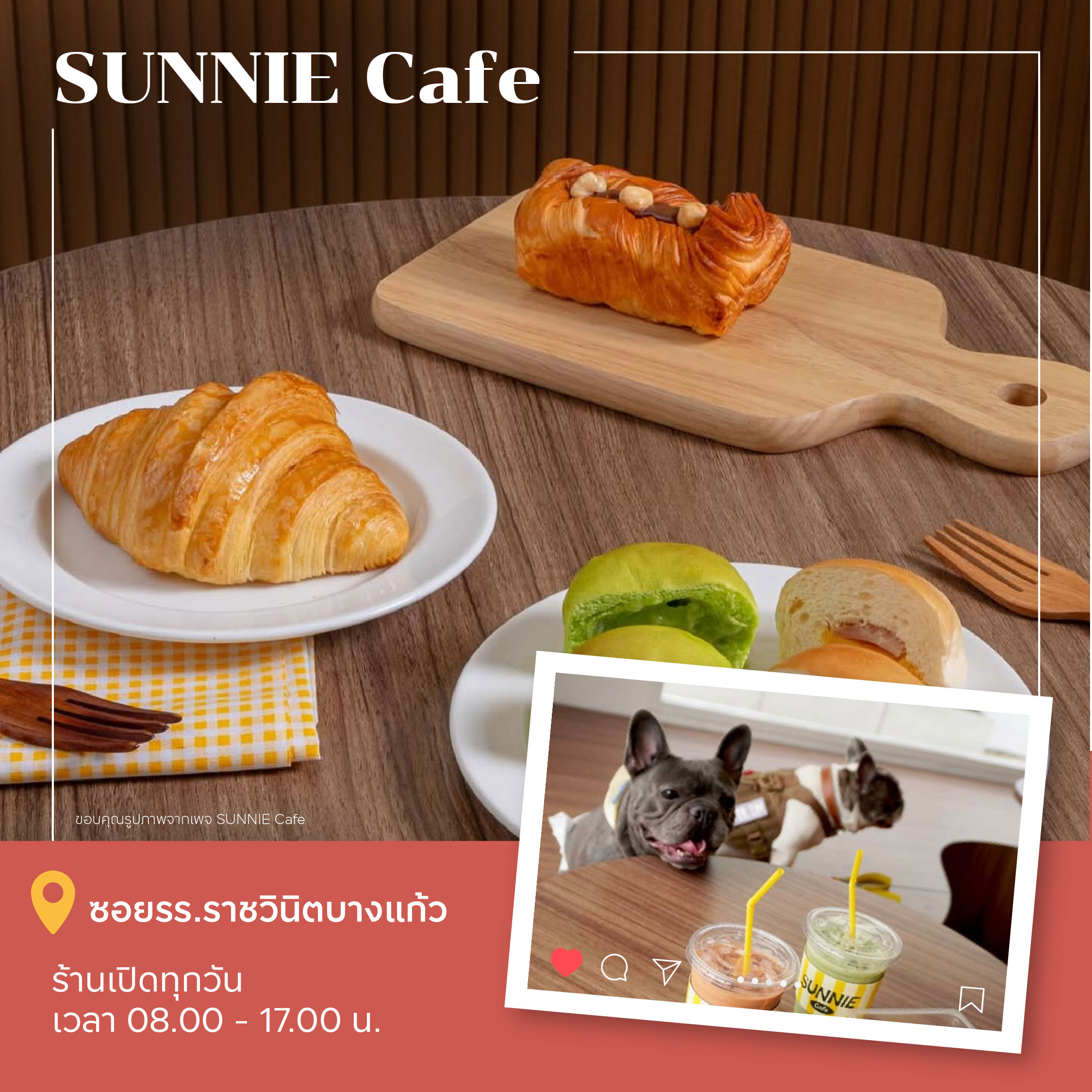 คาเฟ่ PET FRIENDLY
