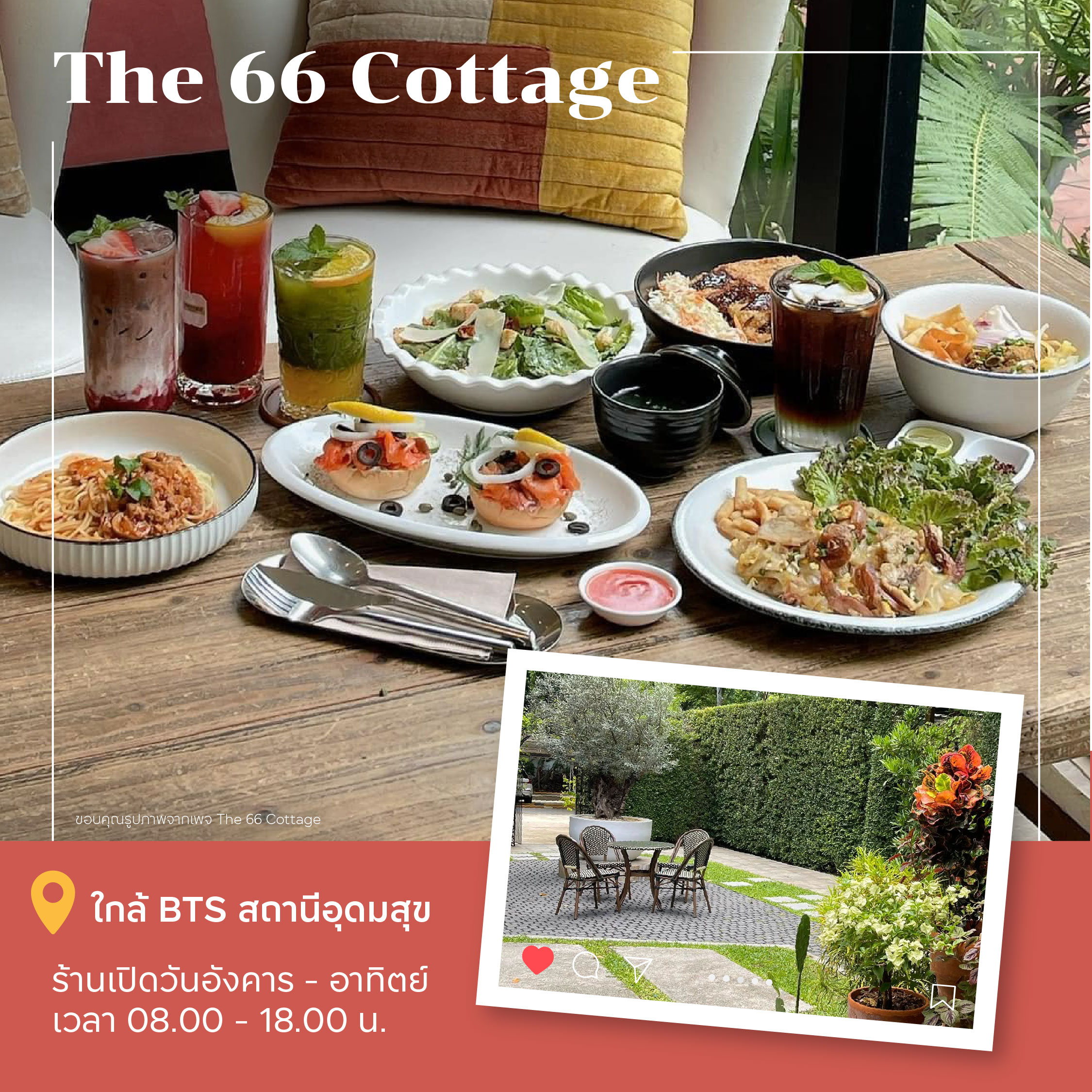 คาเฟ่ PET FRIENDLY